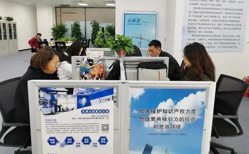 生態城 建設知識產權保護新高地，服務先行，創新驅動