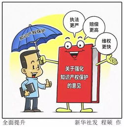 金華出臺知識產權新政，企業可享多項優惠政策與服務支持