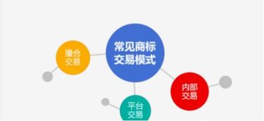 探索知識產權證券化，建設交易中心 推動知識產權服務高質量發展